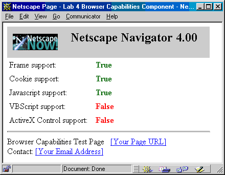 Lab 4 Netscape Screen