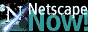 Netscape Navigator Logo